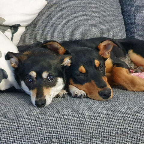 Blind man in your world