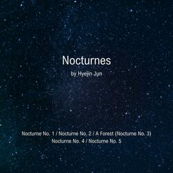 Nocturne No. 4