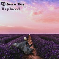Replaced