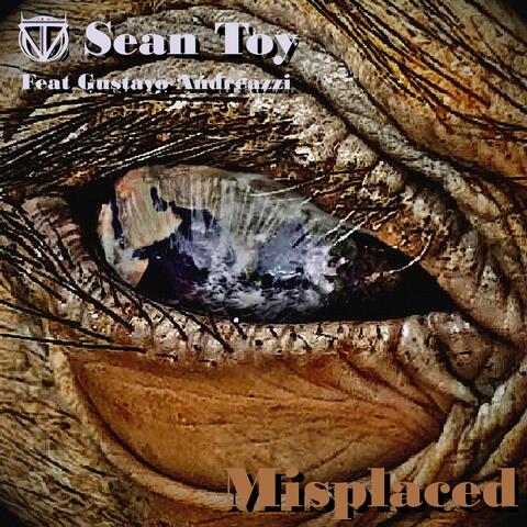 Misplaced (feat. Gustavo Andreazzi)