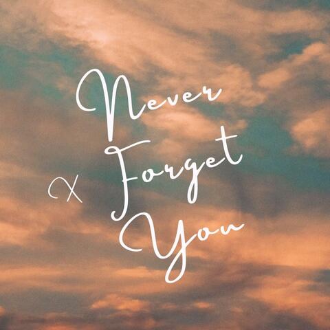Never Forget You