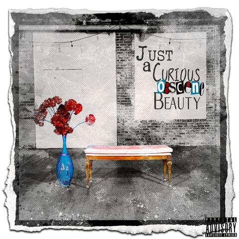Just a Curious Obscene Beauty