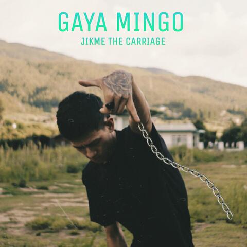 Gaya Mingo