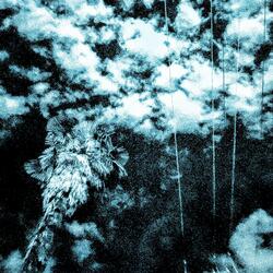 Seismic Thunder Punch