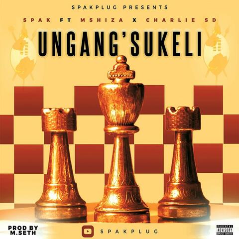 Ungang'sukeli (feat. Mshiza Mnguni & Charlie SD)