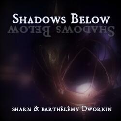 Shadows Below (feat. Barthélémy Dworkin)