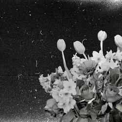 Thoughts Bouncing Around