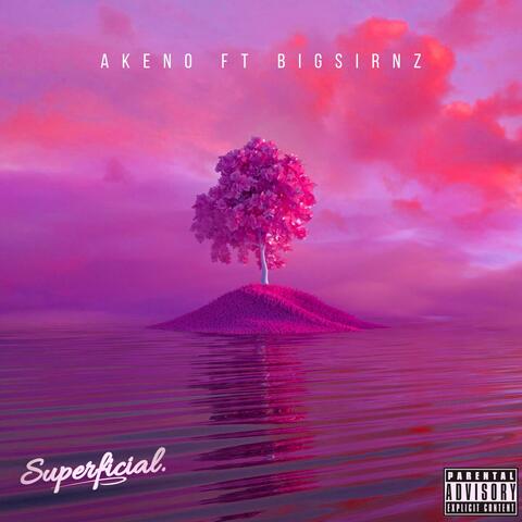 Superficial (feat. BigSirNz)
