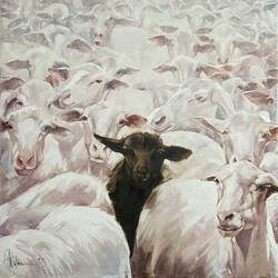 Black sheep
