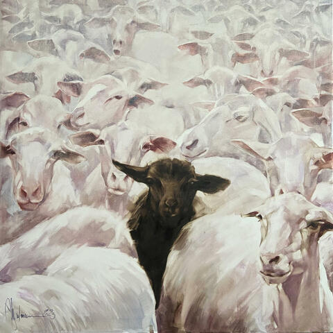 Black sheep