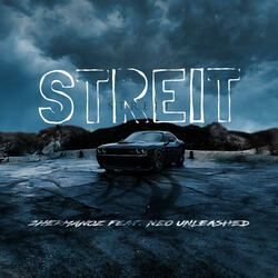 Streit (feat. Neo Unleashed)