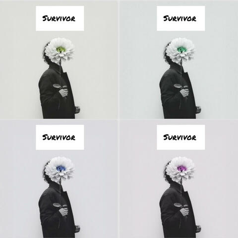 Survivor (feat. 33kay)