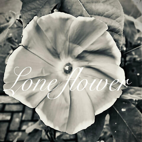 Lone Flower