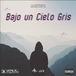 Bajo un Cielo Gris