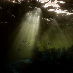 Deep dive