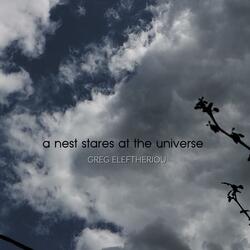 A Nest Stares At The Universe