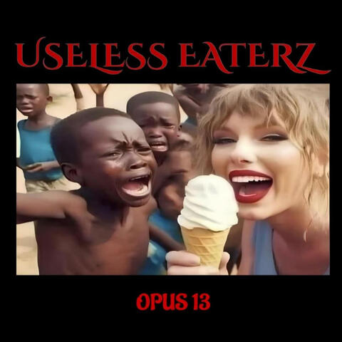 OPUS 13