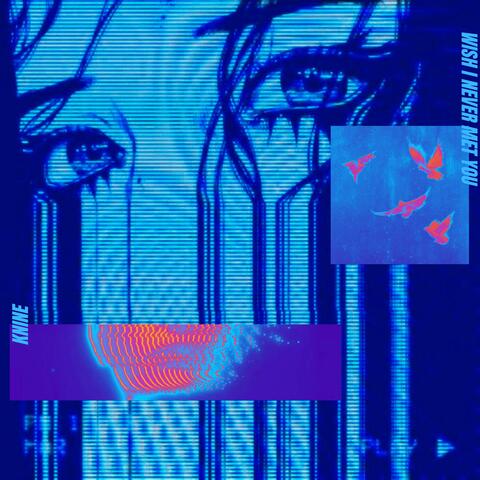 Wish I Never Met You