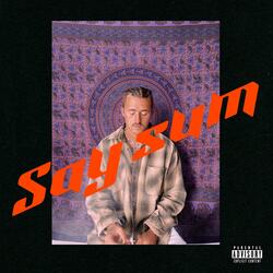 say sum