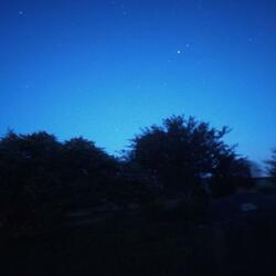 Exposition and Stars