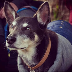 (She's) Under The Milky Way