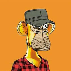 maximo #66type