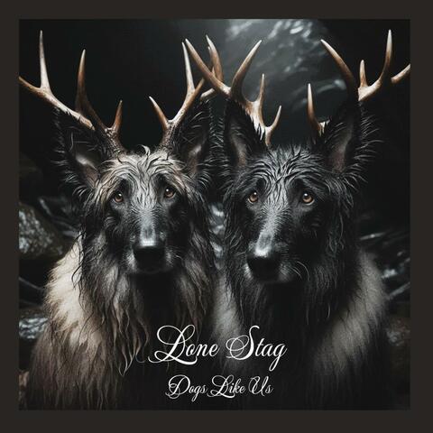 Dogs Like Us