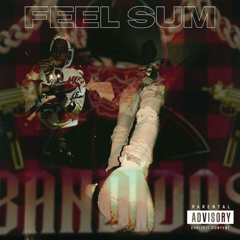 FEEL SUM