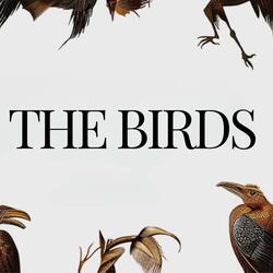 Birds Attack