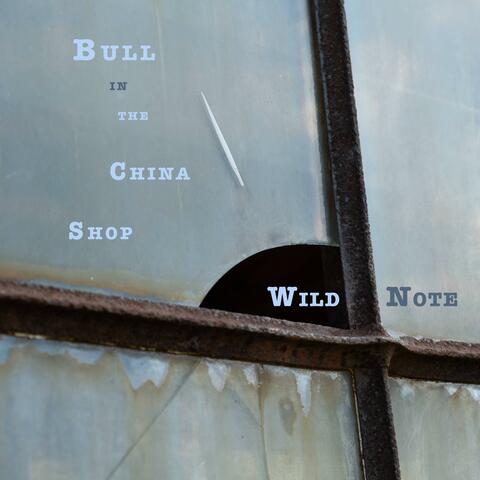 Bull in the China Shop