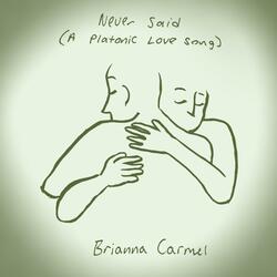 Never Said (A Platonic Love Song)