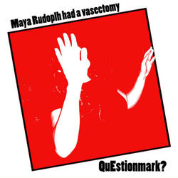 Maya Rudolph Had a Vasectomy