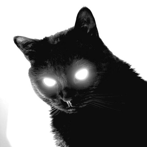 Undercat