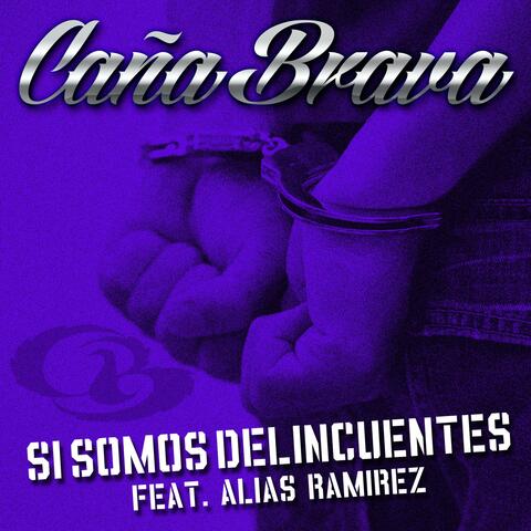 Si Somos Delincuentes (feat. Alias Ramirez)