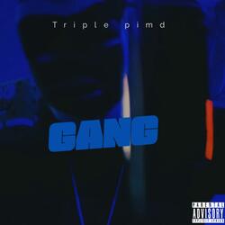 Gang