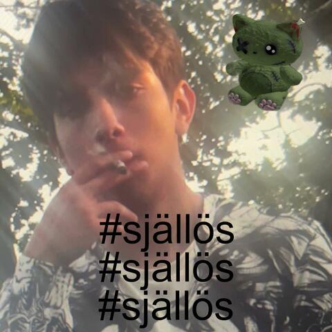 själlös