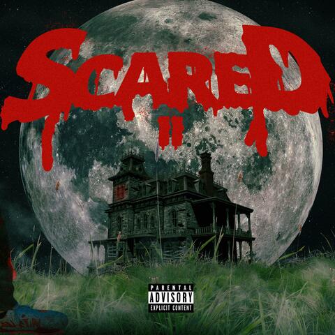 Scared II