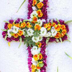 Glorious King Jesus