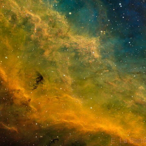 Yellow Stardust