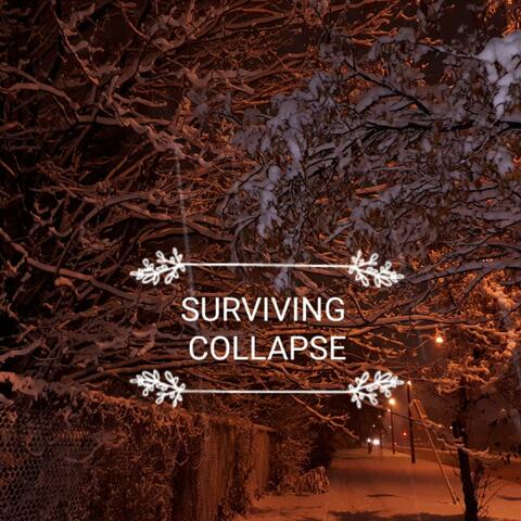 Surviving Collapse