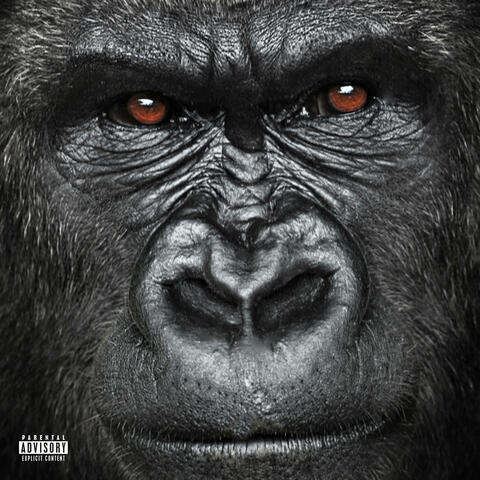 Tous primate (feat. DRC)