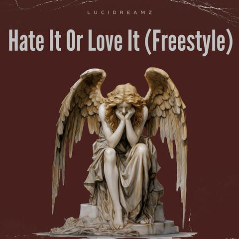 Hate Or Love It