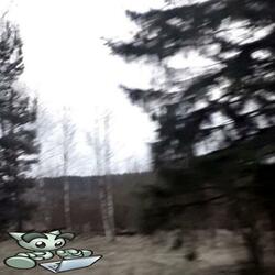 !nokiero #bakstageskkuad