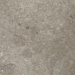 FATE (feat. SAVNT)