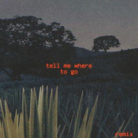 Tell Me Where to Go (feat. Olivia Cooney) [Remix]
