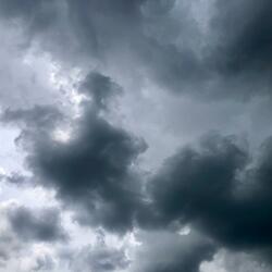 What Are You Serving?