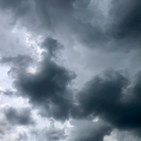 What Are You Serving?