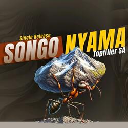 ToptillerSA-Songo Nyama