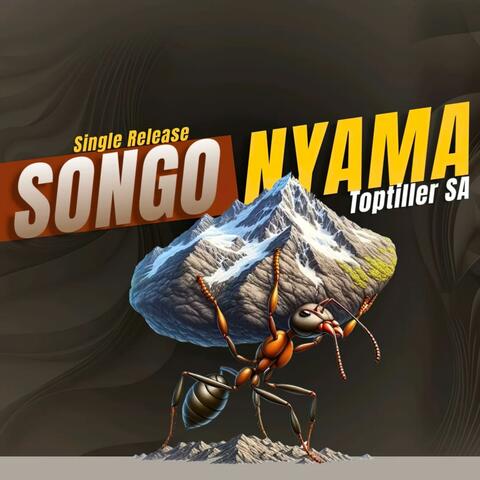 ToptillerSA-Songo Nyama