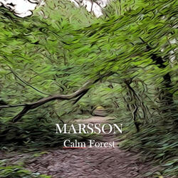 Calm Forest